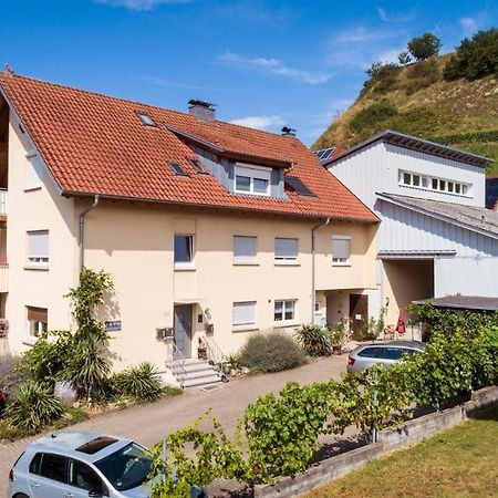 Apartament Winzerhof Senn Vogtsburg im Kaiserstuhl Zewnętrze zdjęcie