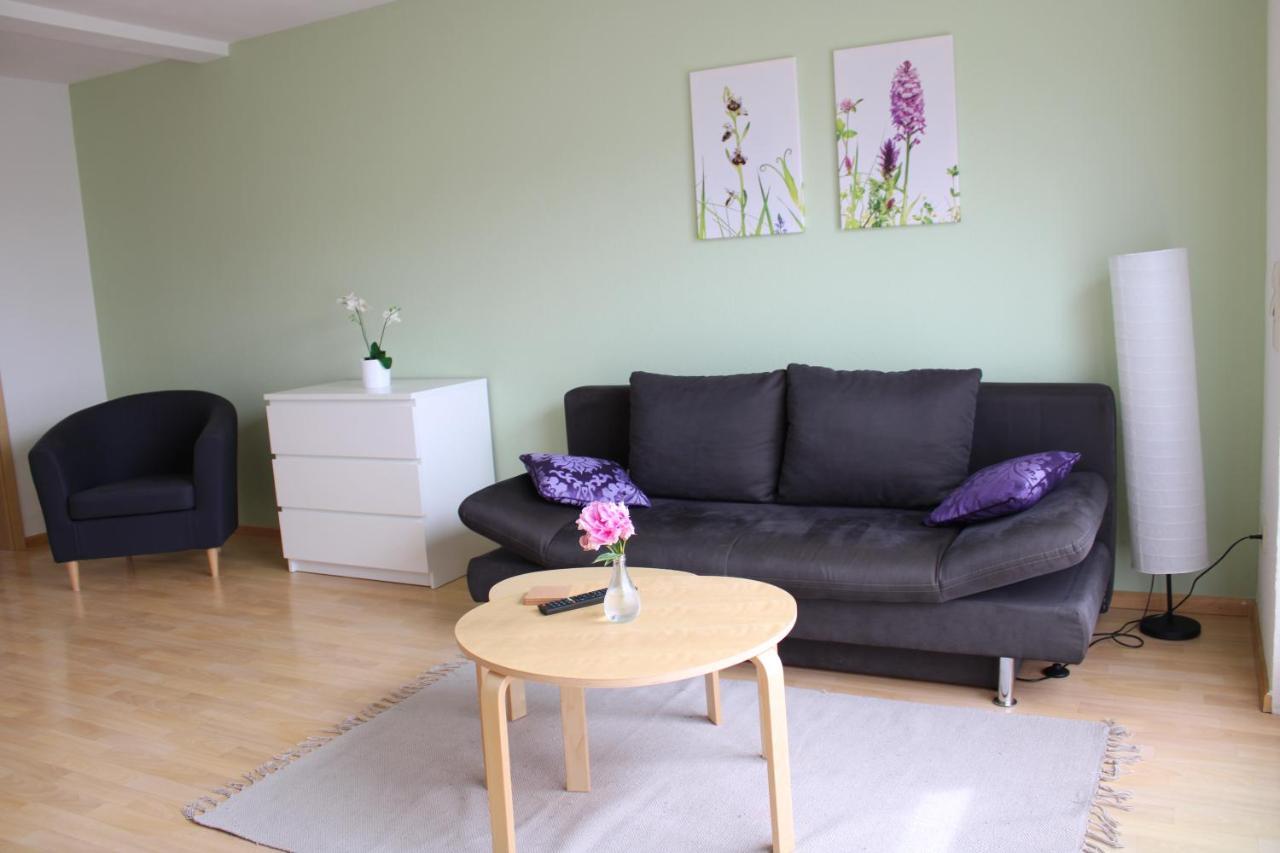 Apartament Winzerhof Senn Vogtsburg im Kaiserstuhl Zewnętrze zdjęcie