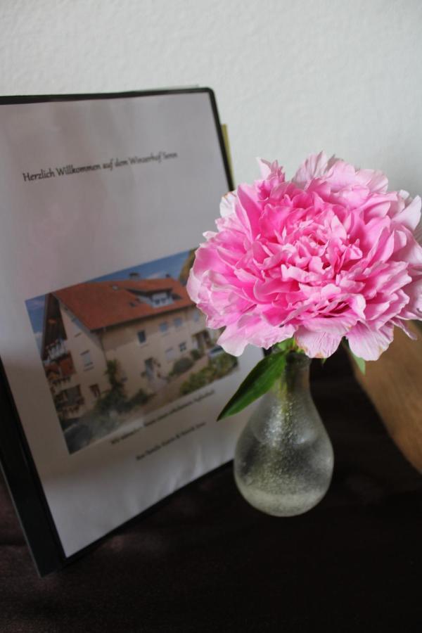 Apartament Winzerhof Senn Vogtsburg im Kaiserstuhl Zewnętrze zdjęcie