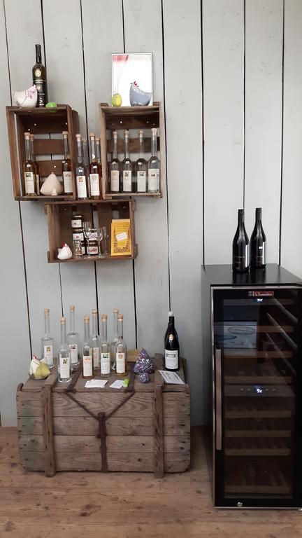 Apartament Winzerhof Senn Vogtsburg im Kaiserstuhl Zewnętrze zdjęcie