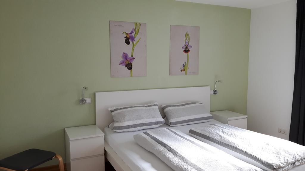 Apartament Winzerhof Senn Vogtsburg im Kaiserstuhl Zewnętrze zdjęcie