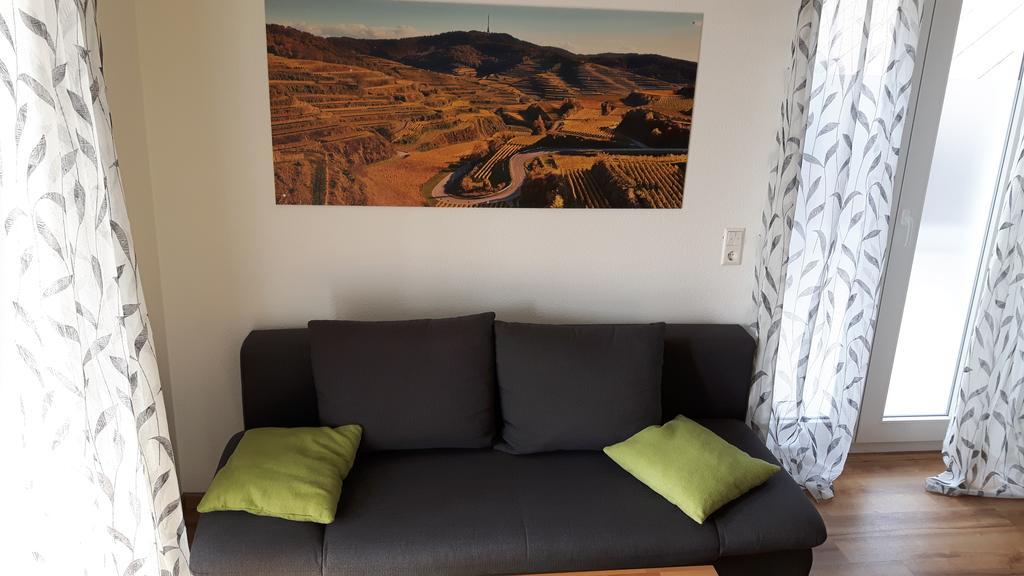 Apartament Winzerhof Senn Vogtsburg im Kaiserstuhl Zewnętrze zdjęcie